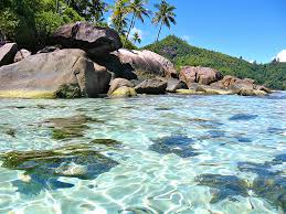 http://www.dondeviajar.es/viajar/seychelles-un-autentico-paraiso-tropical.html