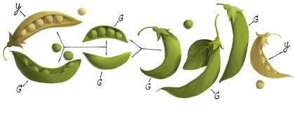 189 Aniversario del nacimiento de Gregor Mendel