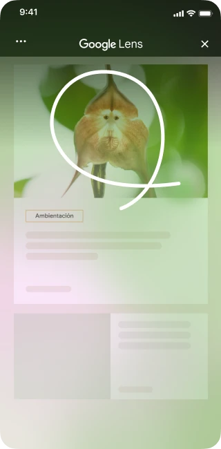 En un sitio de decoración del hogar con una imagen de una flor única, un usuario de iPhone abre las herramientas de la página y selecciona